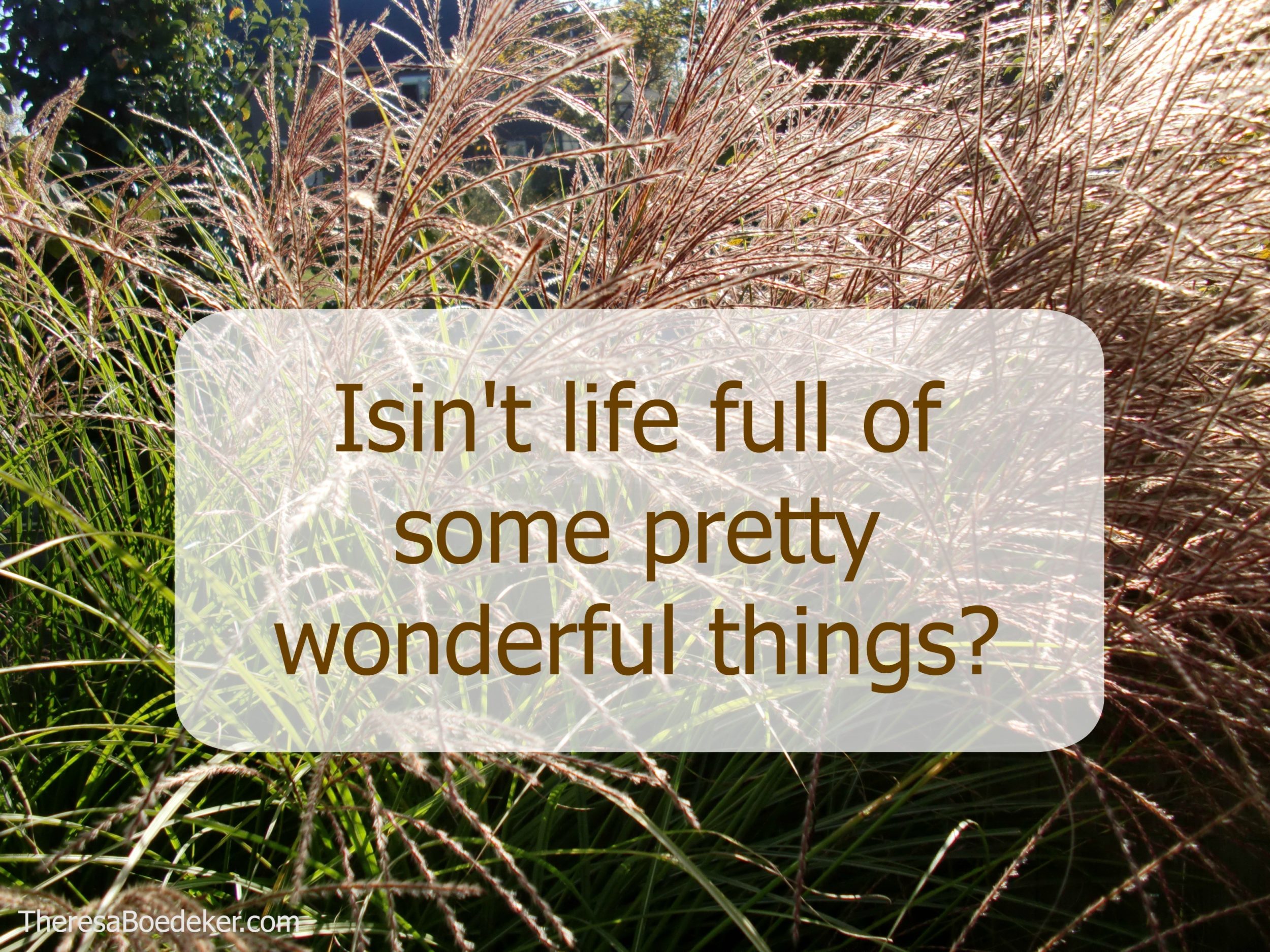 isint-if-wonderful-quote
