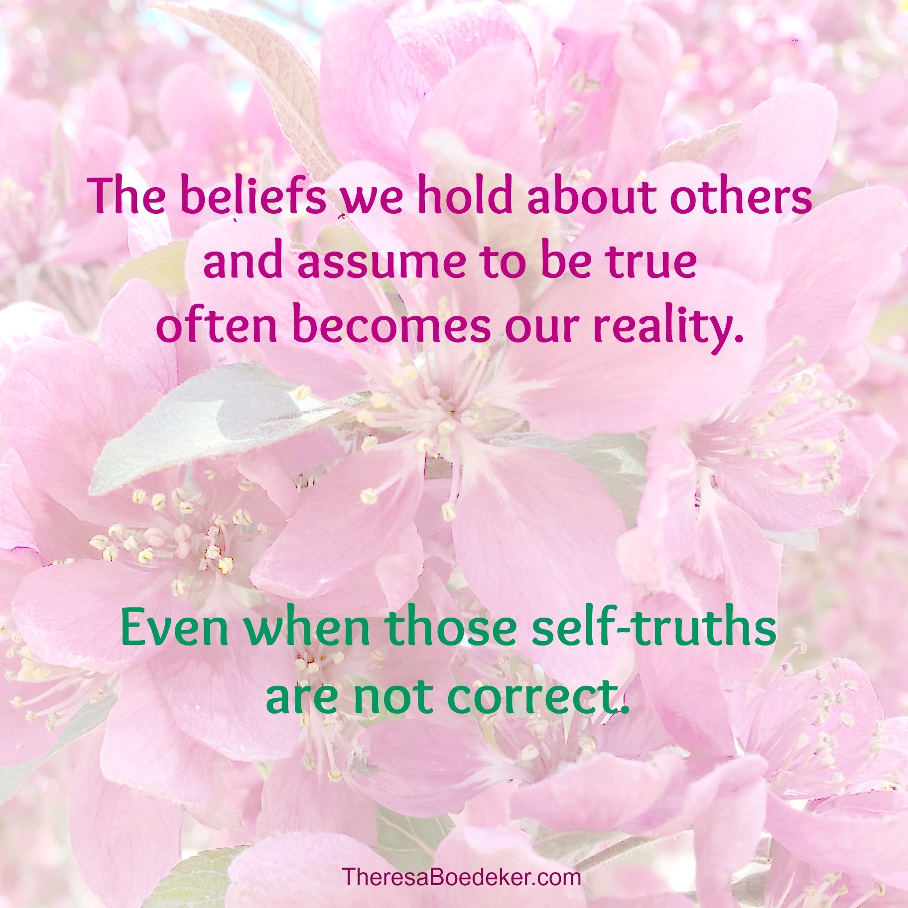 The beliefs we hold about others and assume to be true often becomes our reality. They shape our life. But are those perceptions and belief systems correct? And how do those views affect us? Find out.