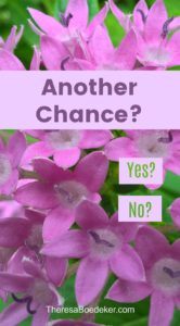 Imagine being resurrected. Maybe you are happy. And then you look around and remember your old life and problems and you wonder, "Why oh why did this happen to me?" #faith #choices