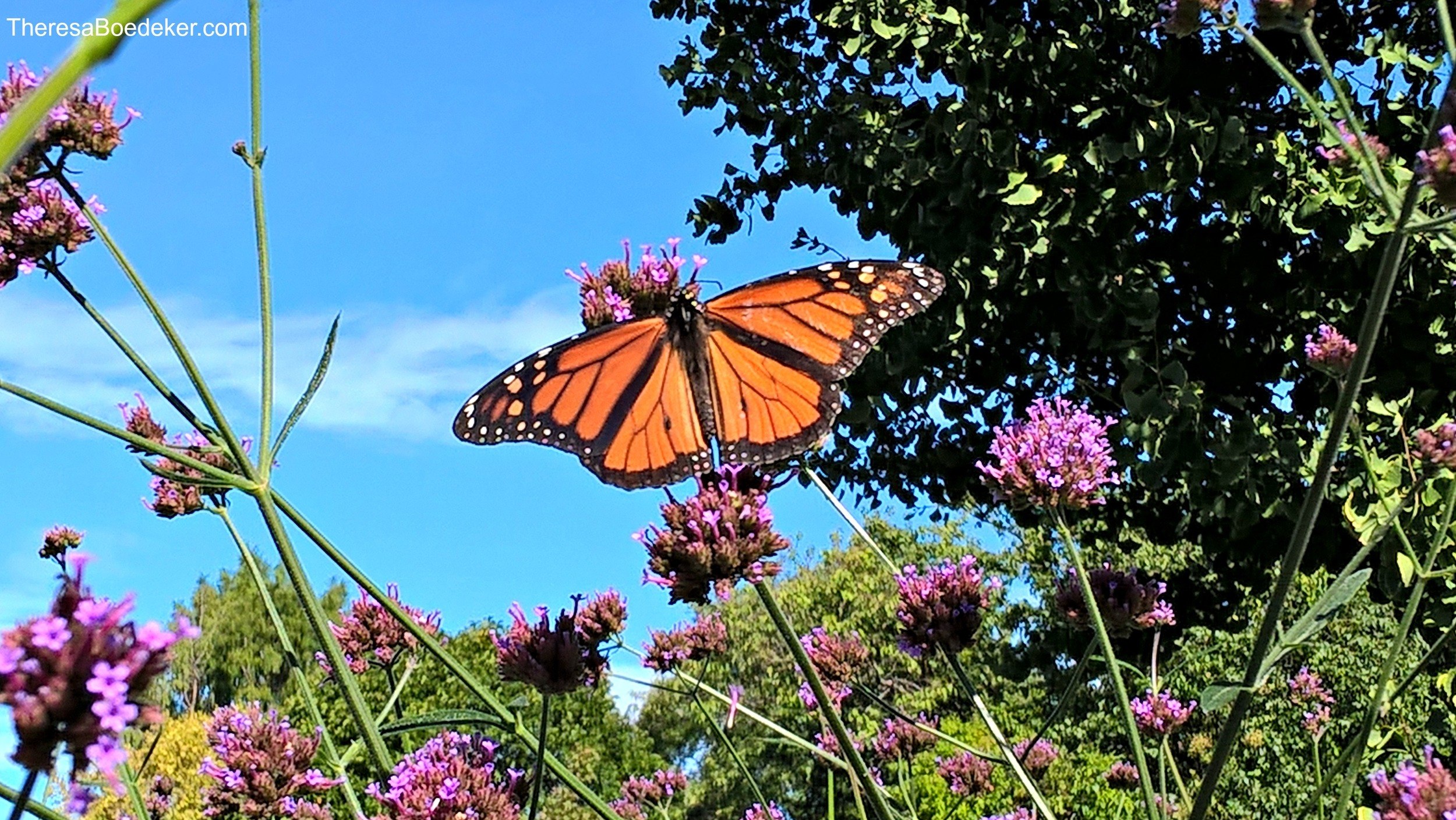 Confronting our fears can be easier with a mantra. Because we all need to be reminded of the truth and whose we are. #Confronting your fears #personal mantra