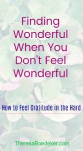 How to find the wonderful things to be grateful for, when you feel far from wonderful.