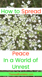 We can't spread peace around the world. But we can spread peace to those around us. To our little neighborhood, one peaceful act at a time. 