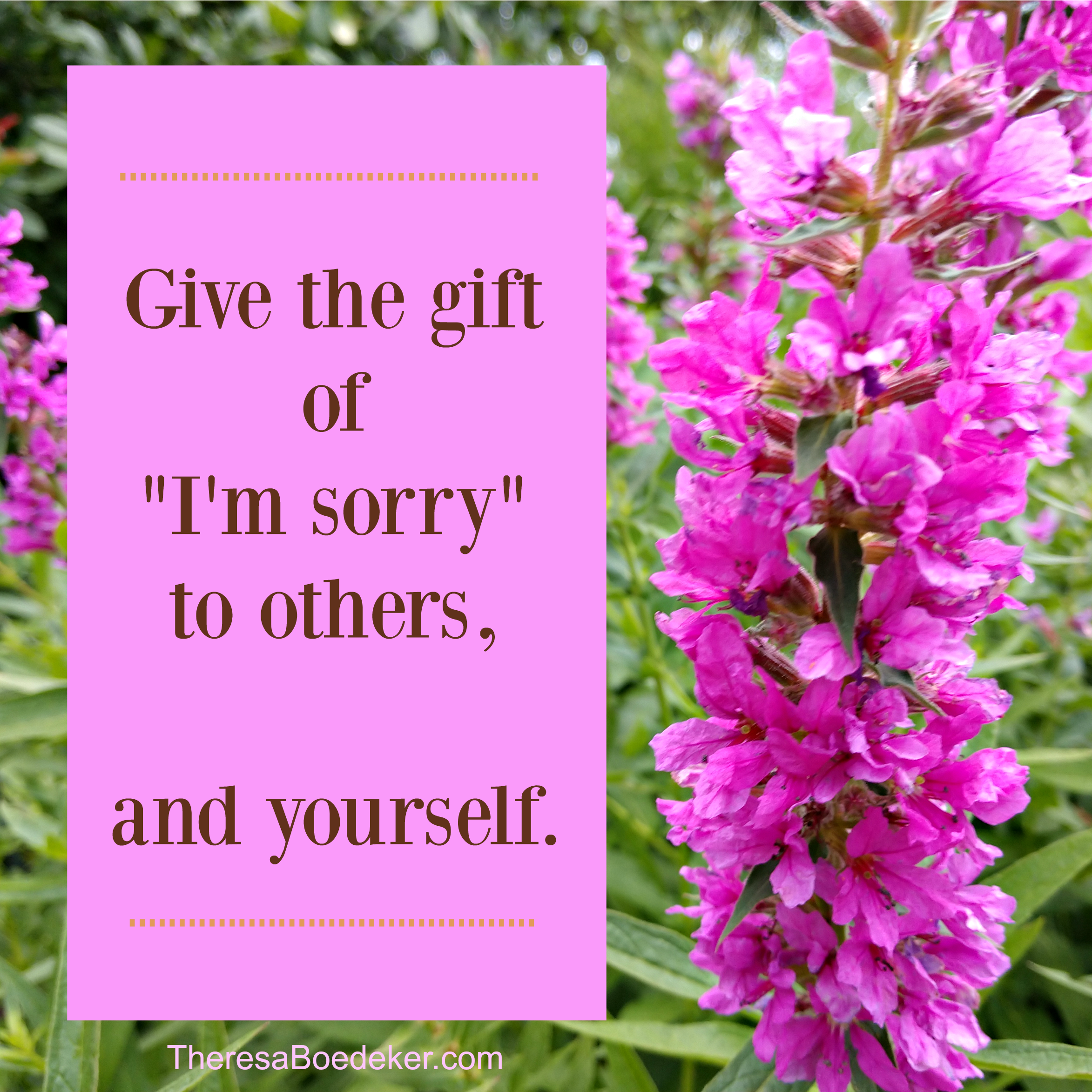 Telling someone "we are sorry," doesn’t right a wrong. Doesn't change the circumstances. But it is one of the greatest gifts we can give another.