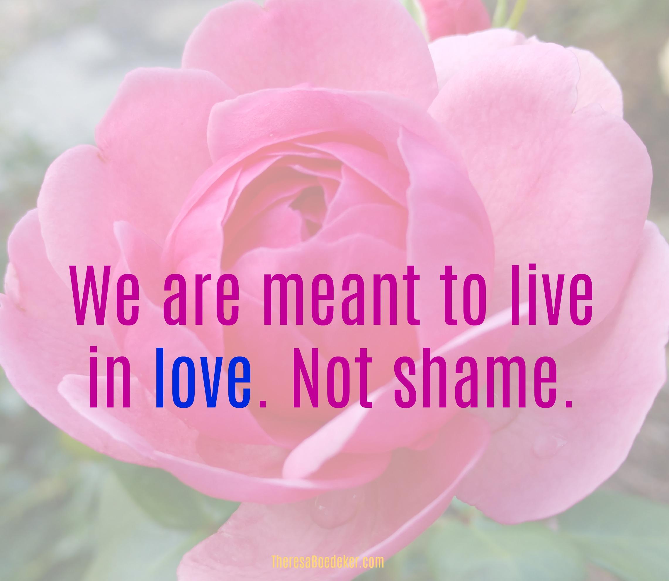 Shattering your feelings of unworthiness. Because you are not meant to live in shame. 