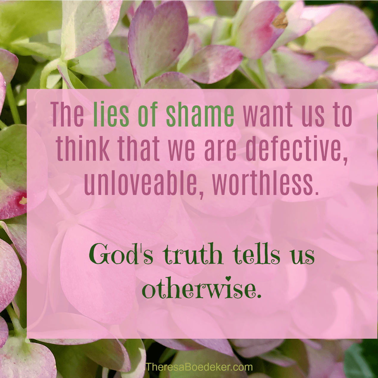 The lies of shame want to tell us we are the defective ones, the unworthy and unlovable ones. But truth can break the bonds of shame.