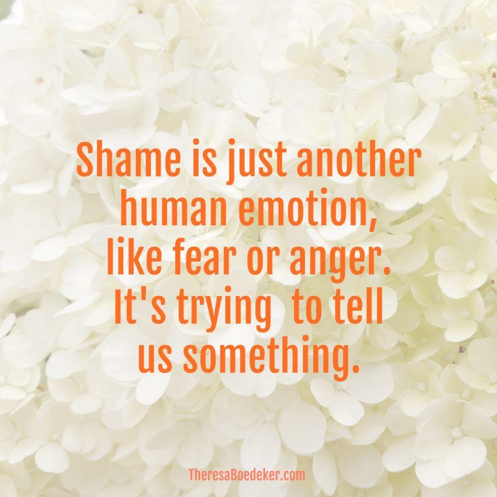 Shame is a warning flag that something needs dealing with.