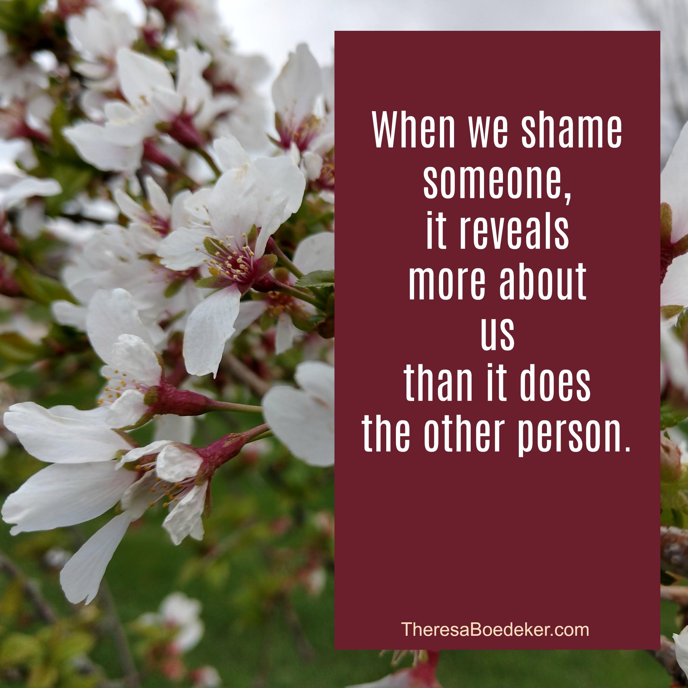 What are the 6 reasons we shame others?