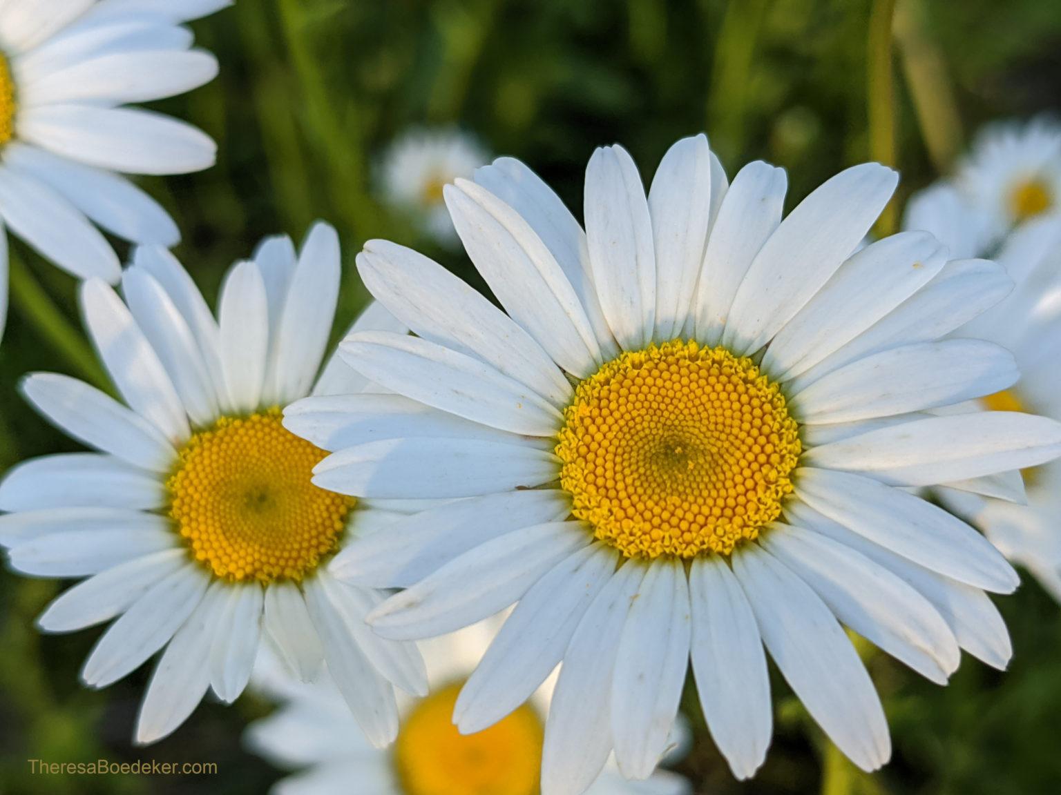 Spiritual Shame: What It Is and How to Conquer It - Theresa Boedeker