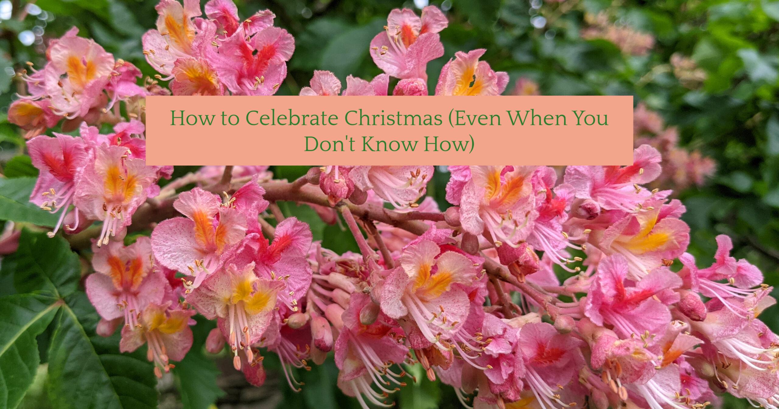 how-to-celebrate-christmas-even-when-you-don-t-know-how-theresa